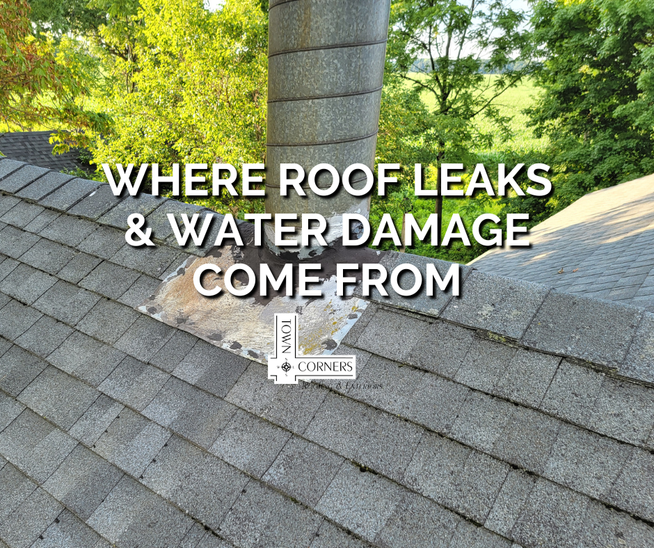 What You Ought To Know About Roof Leaks and Water Damage