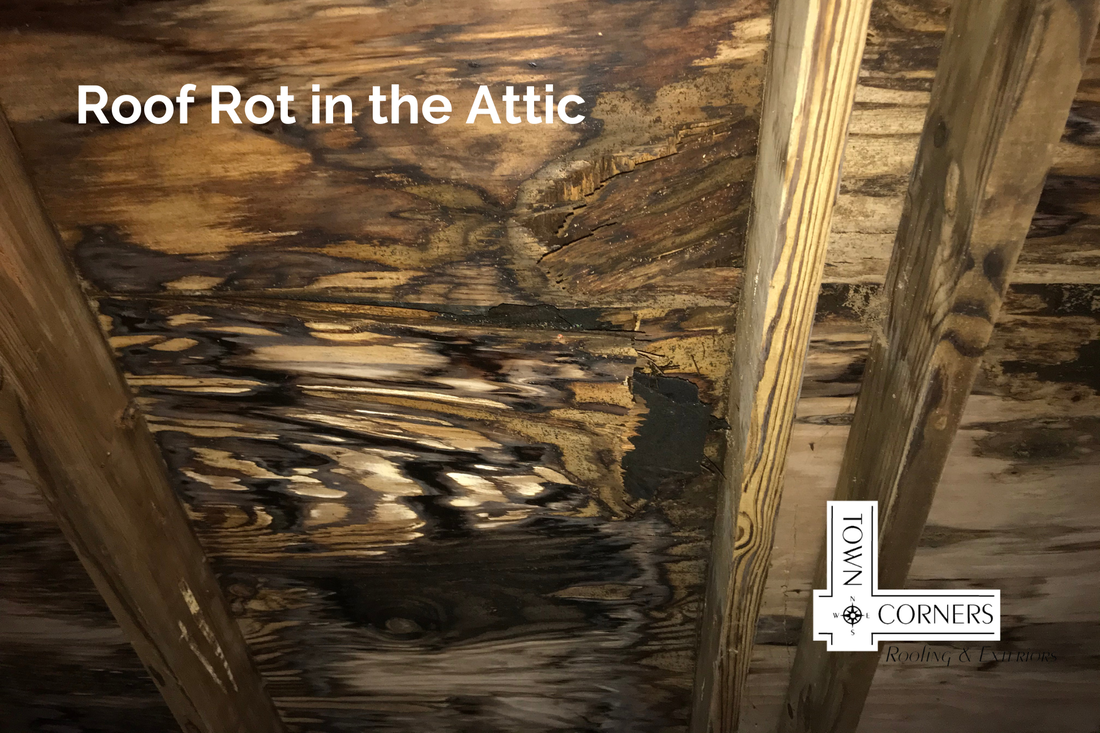 roof rot in the attack