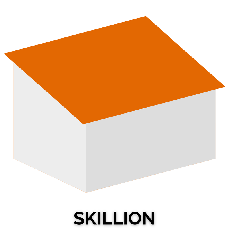 skillion roof style
